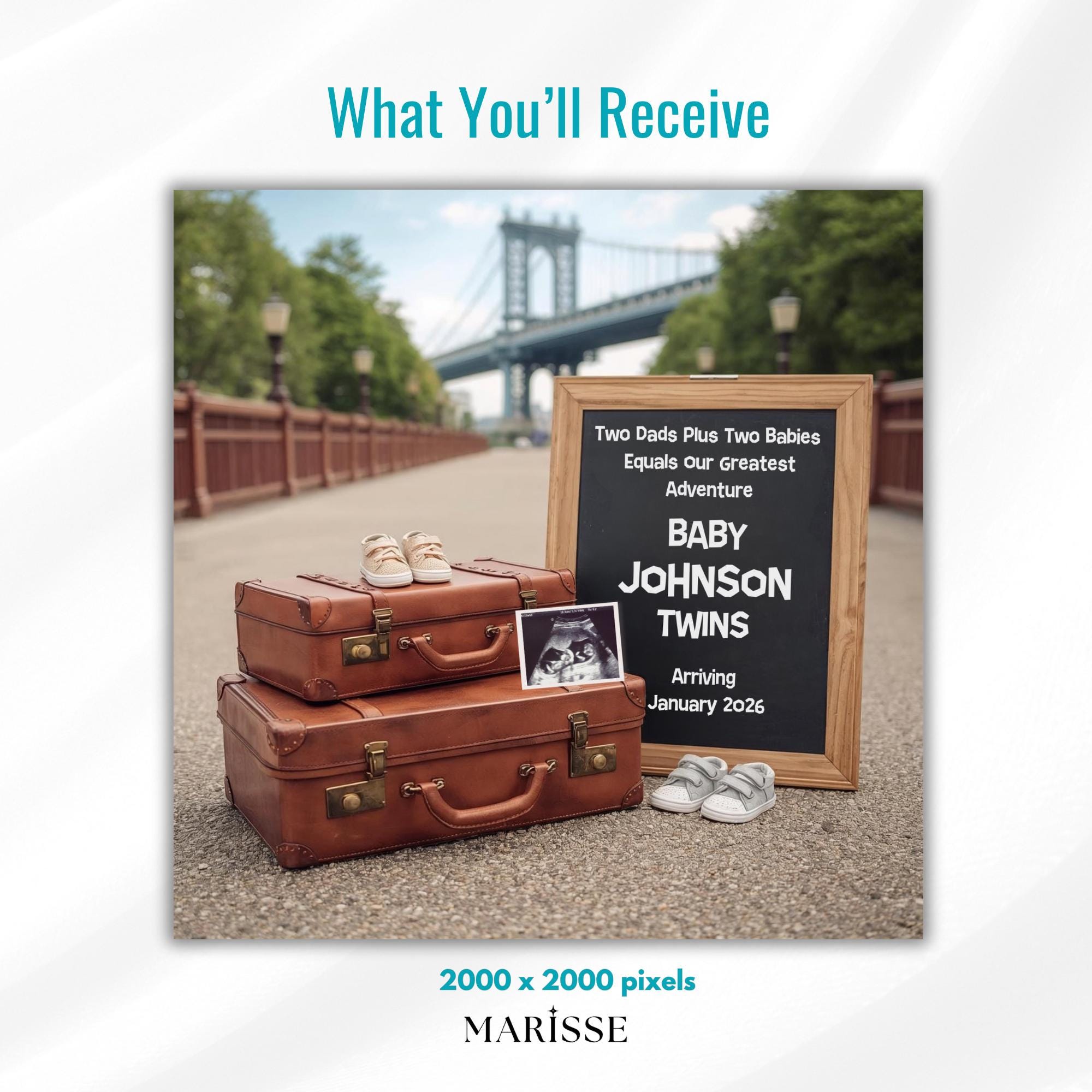 Gay Dads Twin Pregnancy Announcement Template | LGBTQ Baby Reveal | Travel Adventure Theme Twins Ultrasound (Digital Download)